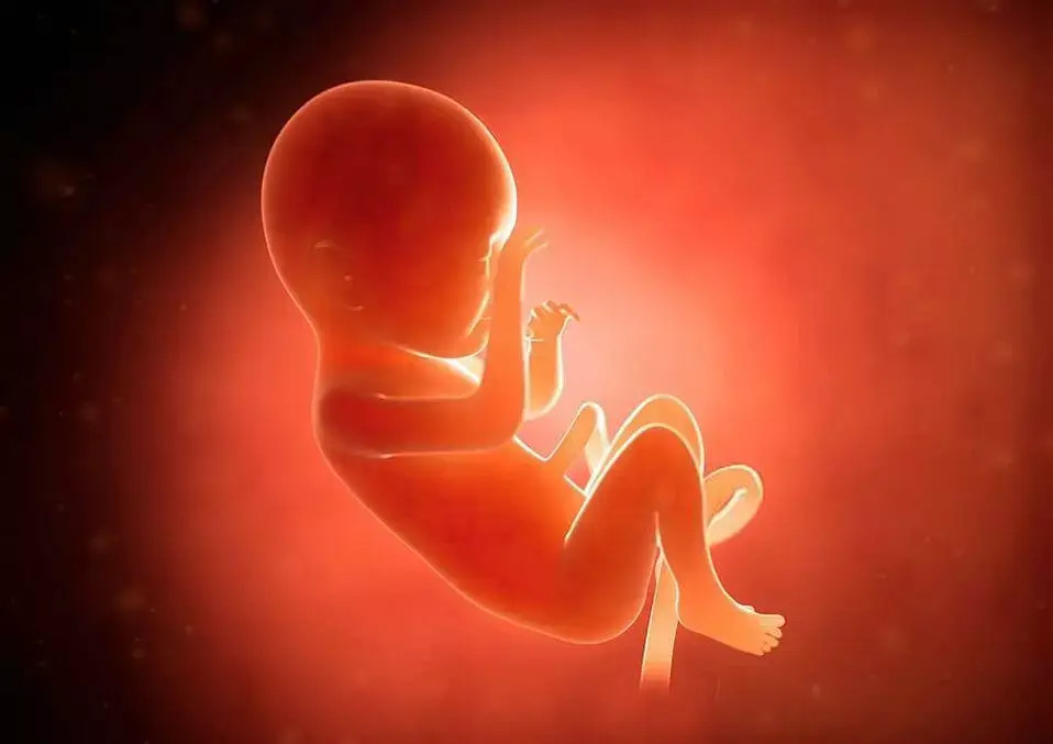 Thiếu sắt dẫn đến thiếu máu, gây ra nhiều triệu chứng khó chịu cho mẹ bầu như mệt mỏi, hoa mắt, chóng mặt